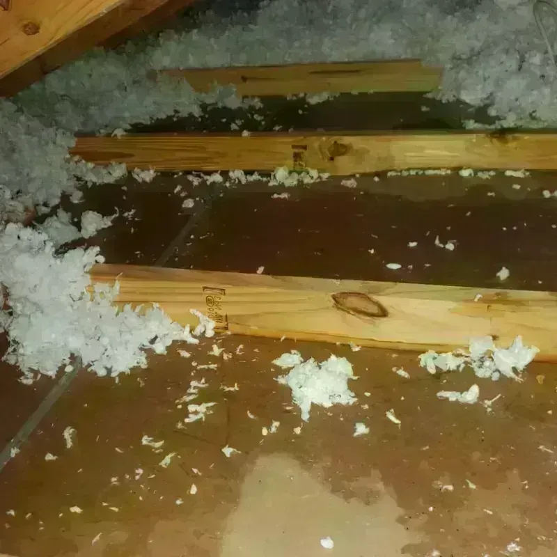 Attic Water Damage in Ellis County, TX