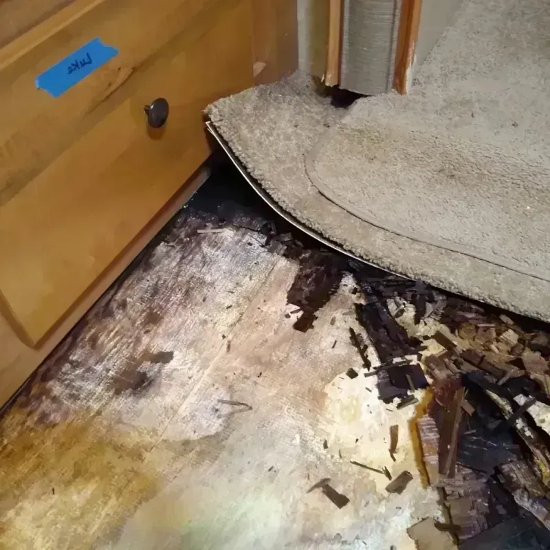 Wood Floor Water Damage in Ellis County, TX